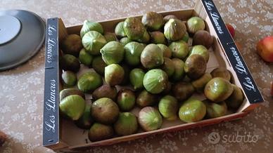 Fichi Neri e Prugne 100% Bio