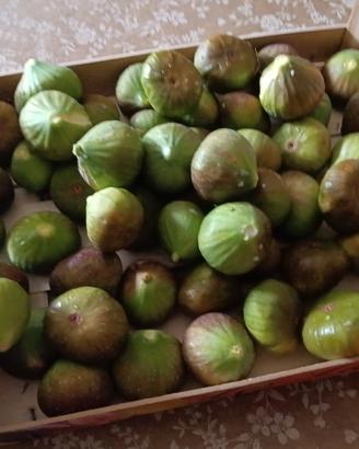 Fichi Neri e Prugne 100% Bio