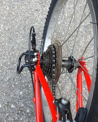 Bici bambino