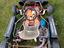 Immagine 3