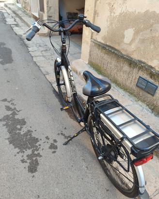 bici elettrica 