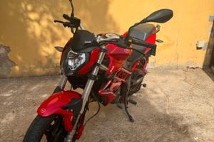 benelli  bn 125