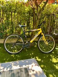 Bici mtb uomo Mirage ruote da 26 cambio Shimano