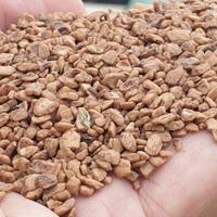 Nocciolino di oliva depolverato