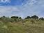 Immagine 9