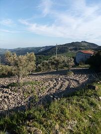 Masseria a Montegiordano (CS)