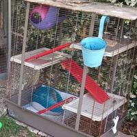 Gabbia per roditori FOP