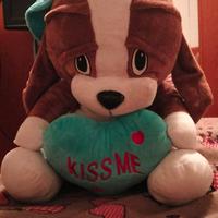 pelouche cane coccolone 50 cm nuovo con etichetta