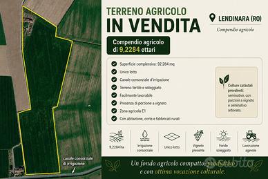 Privato vende compendio agricolo a Lendinara (RO)