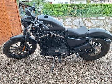 Harley Davidson Iron 883 del 2014 