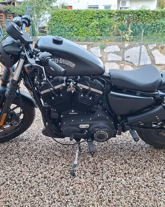 Harley Davidson Iron 883 del 2014 