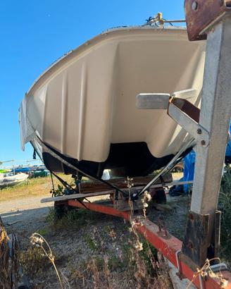 Barca molinari doppio scafo motore 40cv