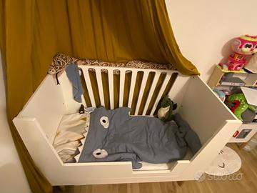 Lettino Done By Deer