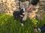 Immagine 6