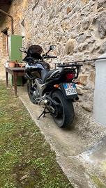 Yamaha TDM 900 - 2003