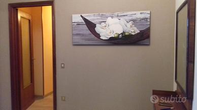 2 STANZE SINGOLE per STUDENTESSE referenziate