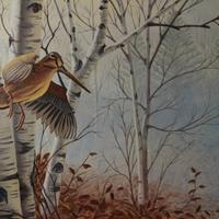 Beccaccia nel bosco, dipinto ad olio 50x70cm