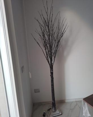albero di natale 
