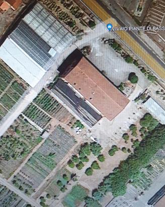 Azienda vivaistica e garden
