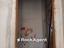 Immagine 14