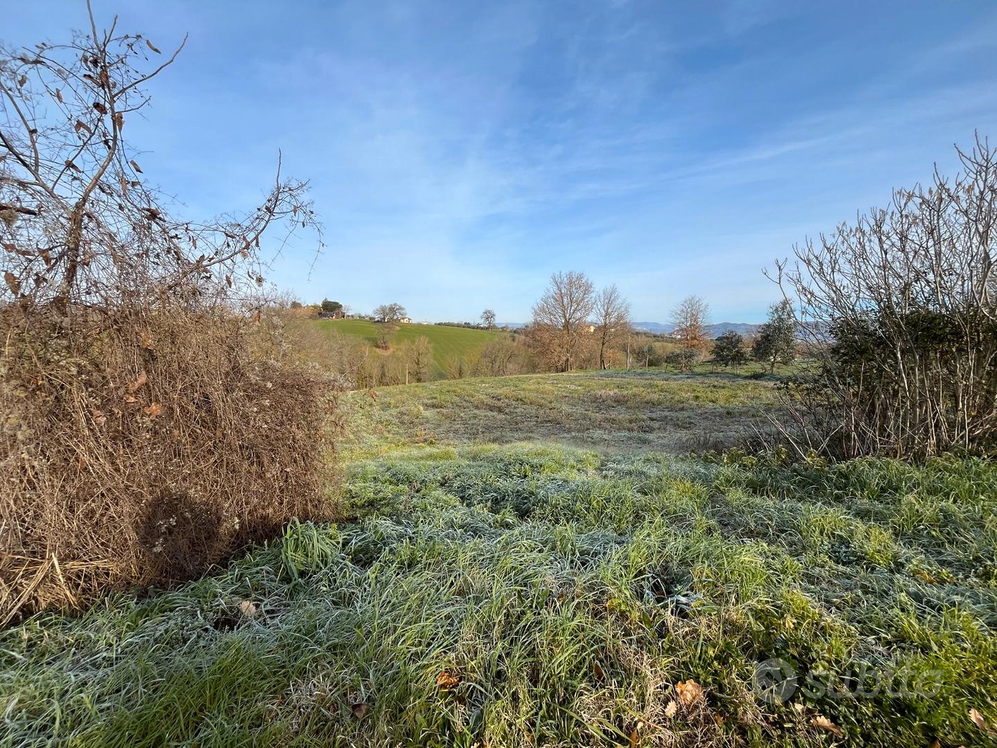 Terreno agricolo - Vista 2