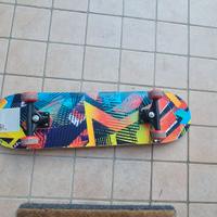 Skateboard Roces 