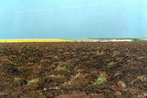 Terreni agricoli 500 ha Unione Europea