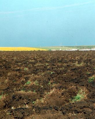 Terreni agricoli 500 ha Unione Europea