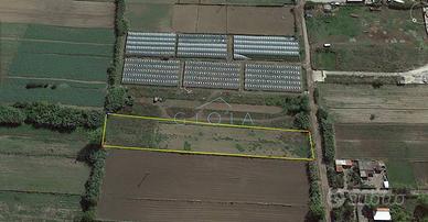 Terreno di 3600 m² a Mondragone