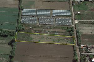 Terreno di 3600 m² a Mondragone
