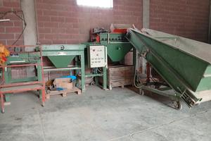 Linea lavorazione ortaggi patate cipolle