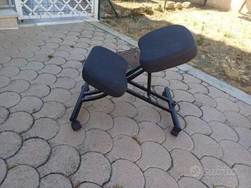 Sedia ergonomica
