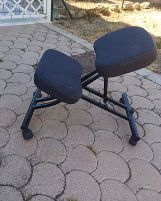 Sedia ergonomica