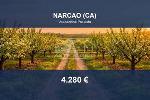 Immobile in asta di 3330 m² a Narcao