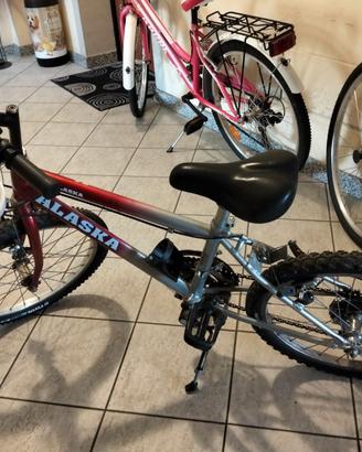 Mountain bike 20 per ragazzo/ragazza a Seriate