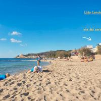 50m spiaggia lido conchiglie 4app 4p cad