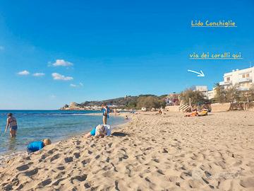 50m spiaggia lido conchiglie 4app 4p cad