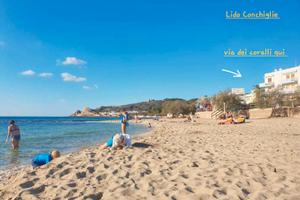 50m spiaggia lido conchiglie 4app 4p cad