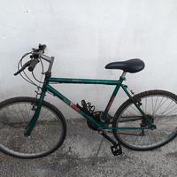 Bicicletta Mountain bike 