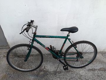 Bicicletta Mountain bike 