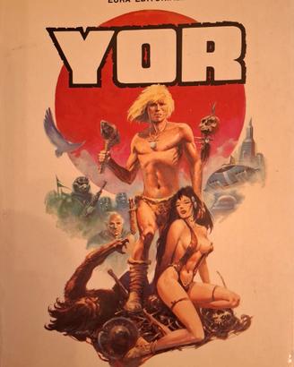 FUMETTO VINTAGE “IL LIBRO DI YOR - IL CACCIATORE”