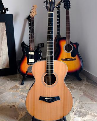 Chitarra acustica Abete Massello +setup+regali