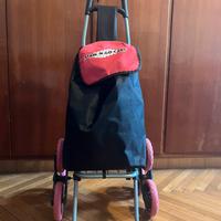 Carrellino spesa saliscale