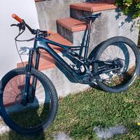 e-bike 