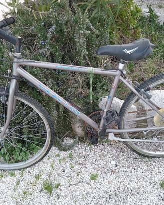 bici mountain bike 26
