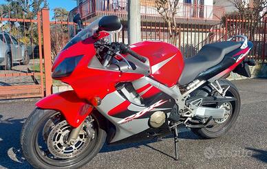 Honda CBR 600 - 2005
