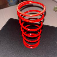 Molla contrasto scooter piaggio