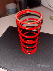 Molla contrasto scooter piaggio