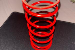 Molla contrasto scooter piaggio