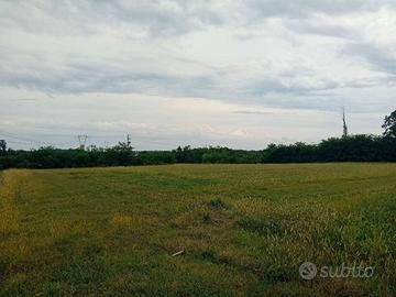 TERRENO AGRICOLO A TREZZANO ROSA